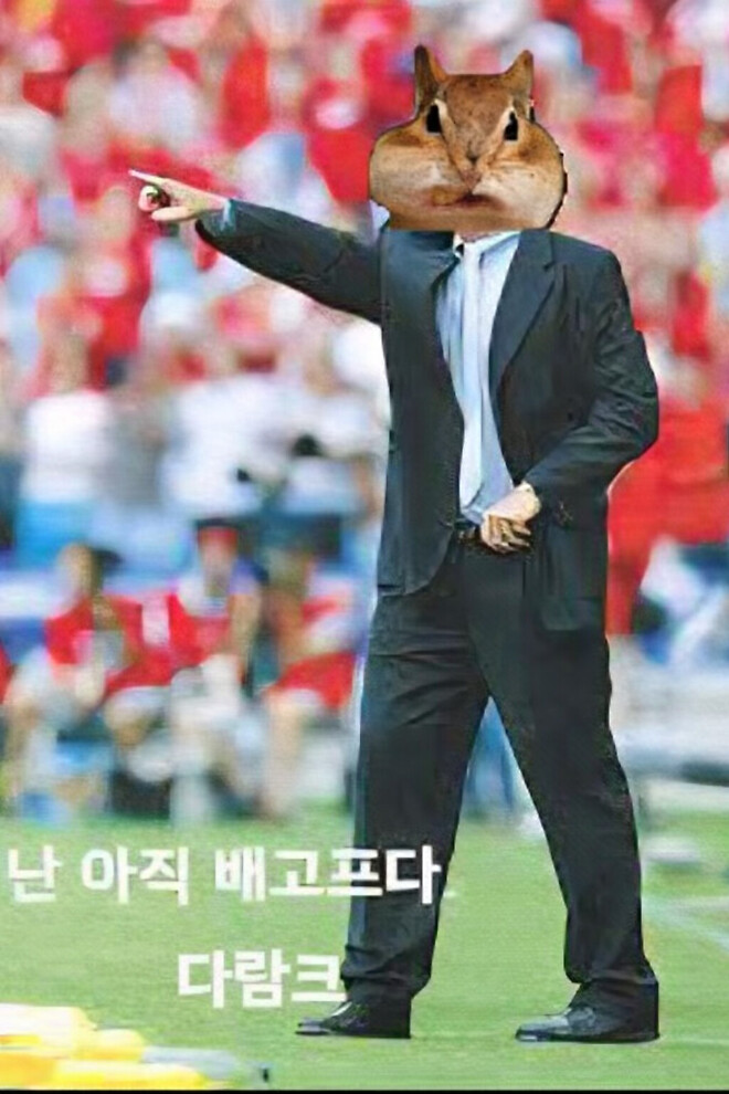 제가 제일 관심있게 보고 있는 주식은