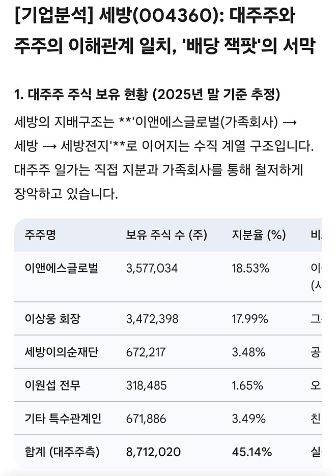 세방 - 기업분석 (목수&amp;amp;제미나이)