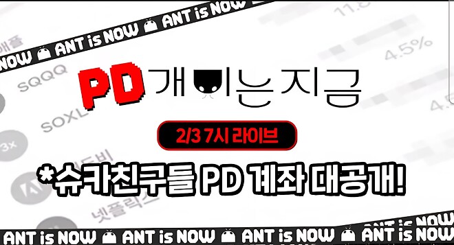 오늘 개미는 지금 보니까