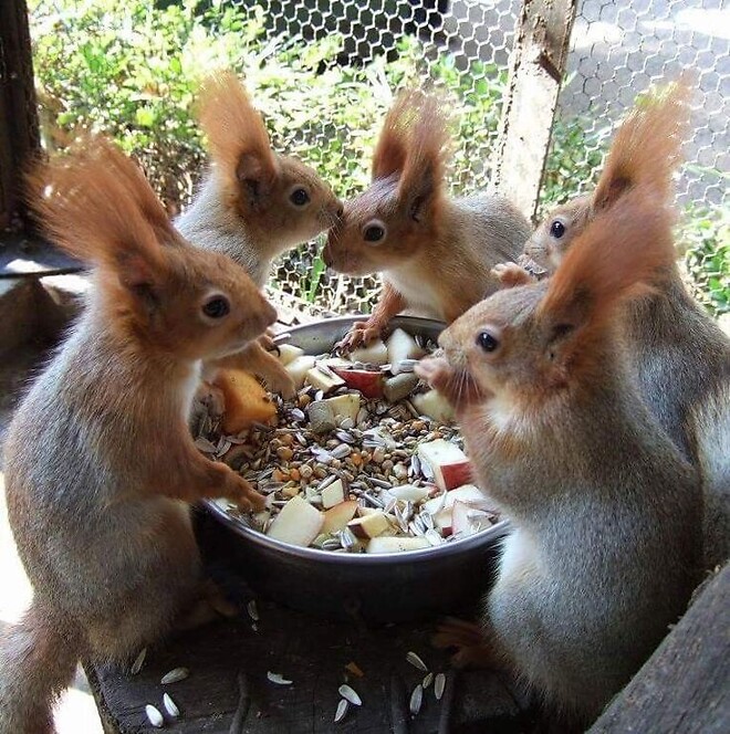 🐿️..나만 없어 코스피...?! 소외되는게 무서운 당신에게..포모 증후군