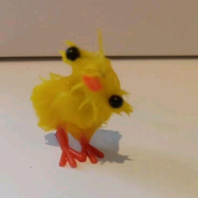 🐿️..소신 발언, 두쫀쿠 이거 왜 먹는거임?? (두쫀쿠도 FOMO와서..)