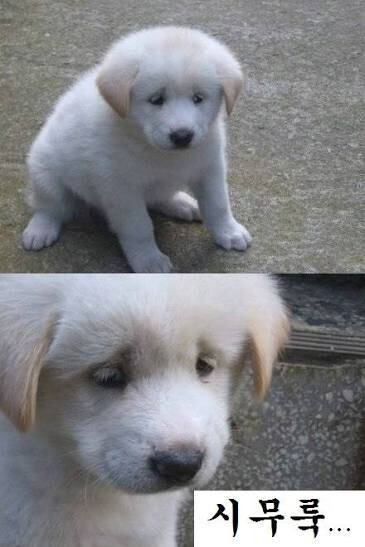 모델 계약 ㅎㅈ