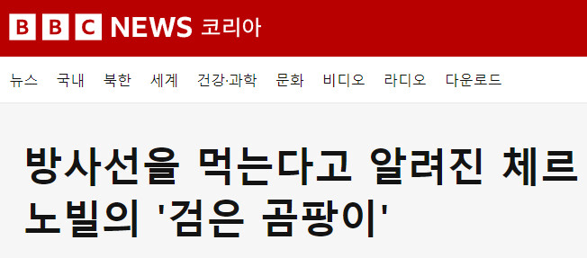 방사선을 활용하는 곰팡이? - BBC