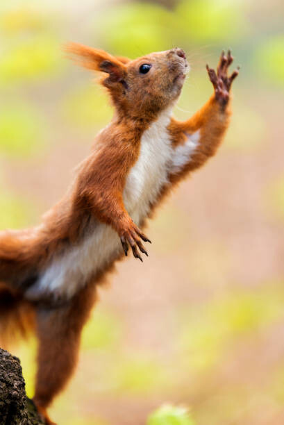 🐿...다들 연습하세요...