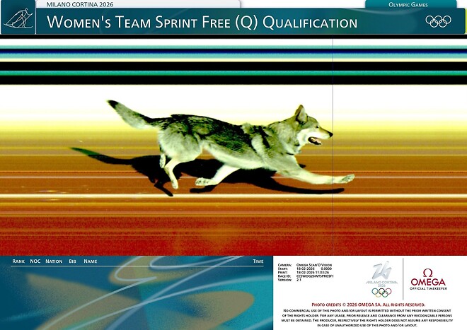 [올림픽] 크로스컨트리 경기장에 난입한 개 한 마리&hellip;결승선까지 통과