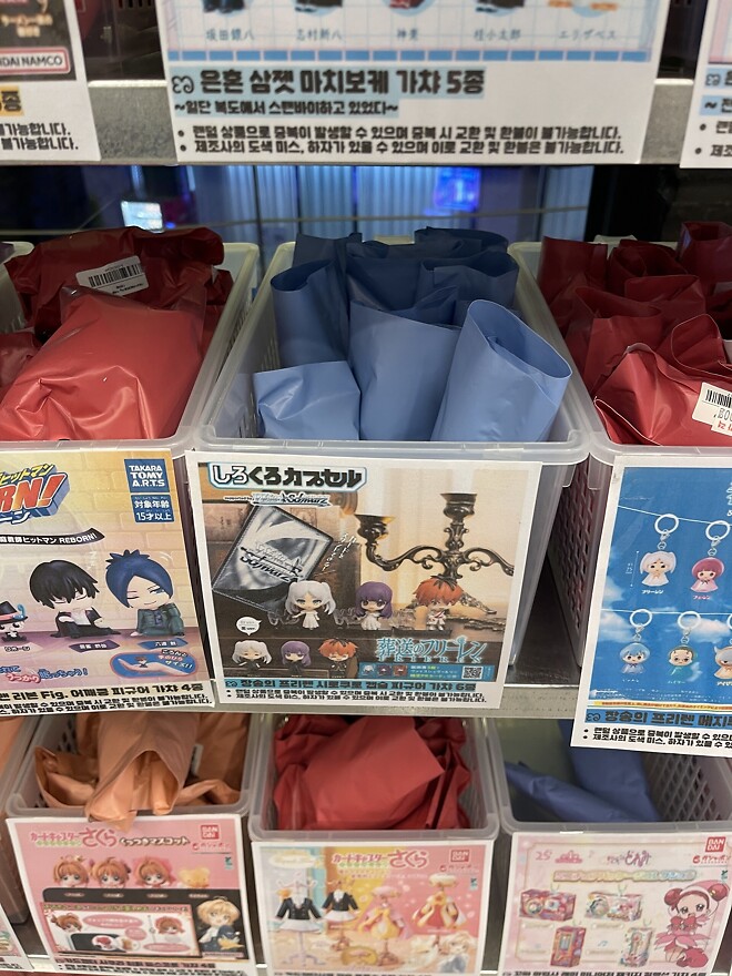 [씹덕은 지금] 코지한 홍대