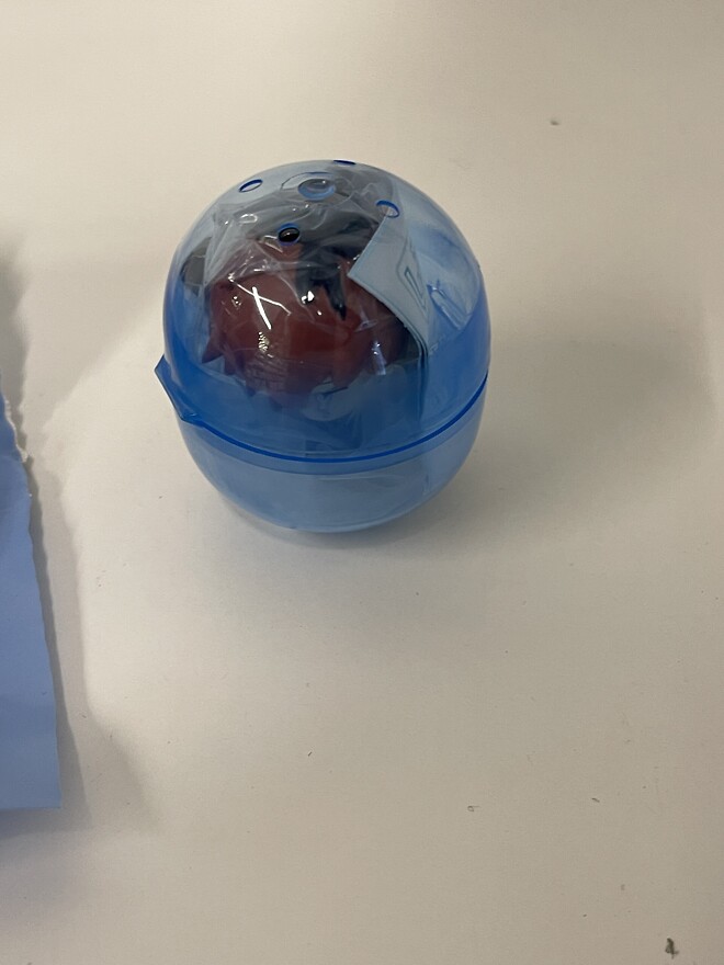 [씹덕은 지금] 코지한 홍대