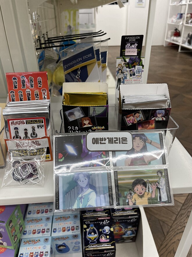 [씹덕은 지금] 코지한 홍대