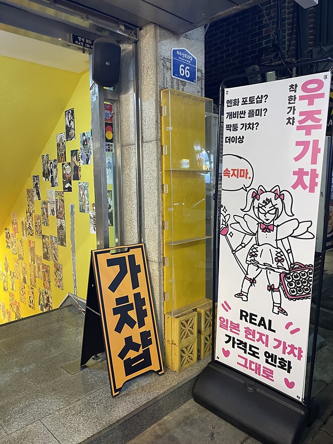 [씹덕은 지금] 코지한 홍대