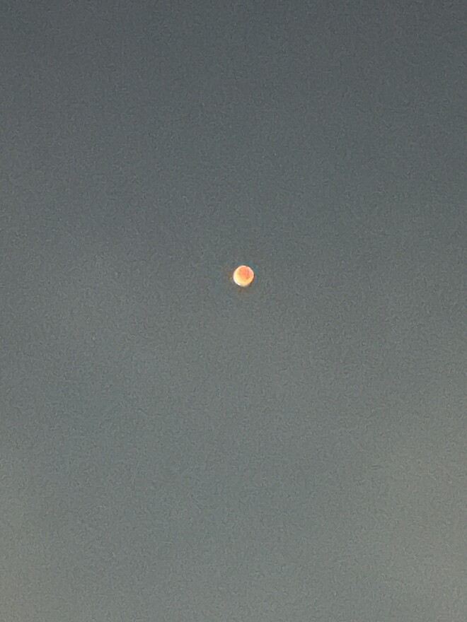 연합紙) 정월대보름 36년만 '붉은 달' 뜬다&hellip;개기월식 전국서 관측