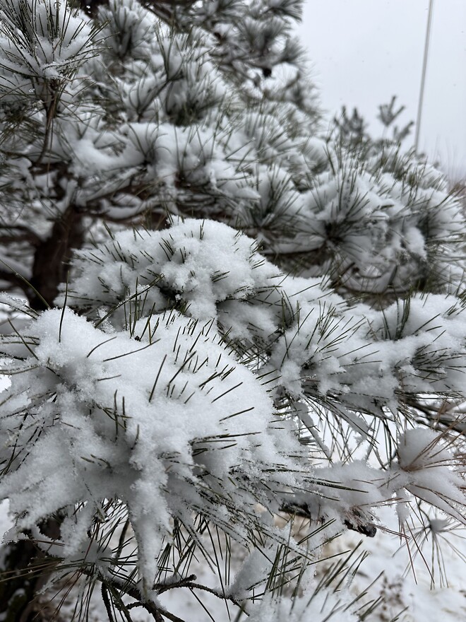오늘 눈 안왔나요?