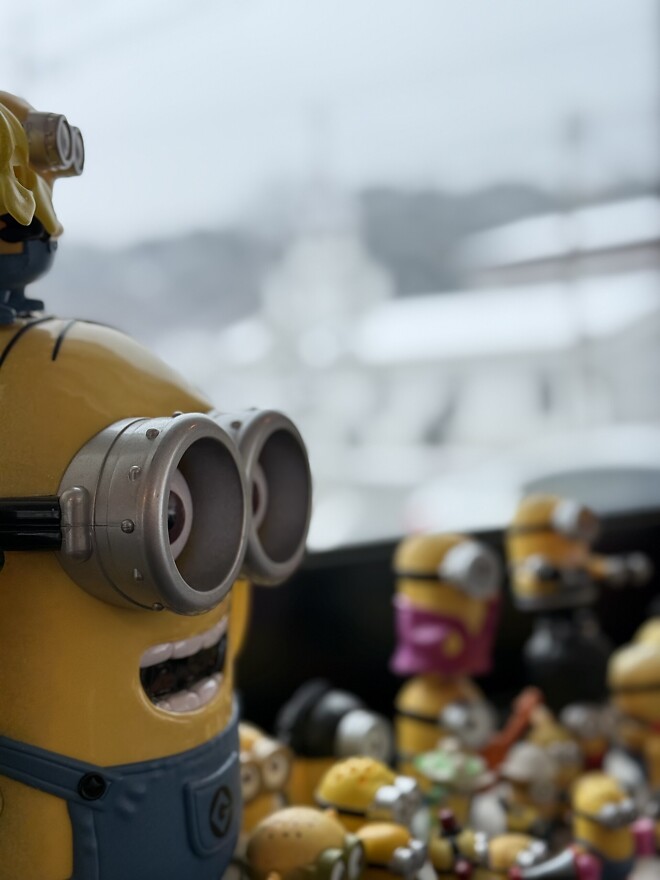 오늘 눈 안왔나요?