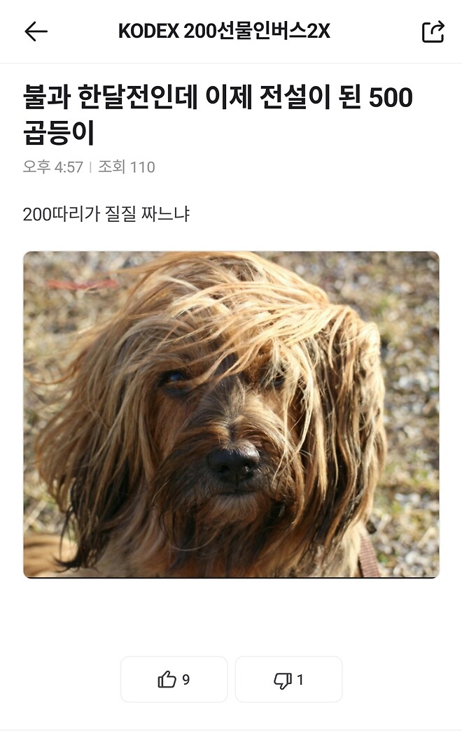 웃겨서 곱버스 종토방 못떠나고 있어요ㅋㅋㅋㅋㅋㅋ