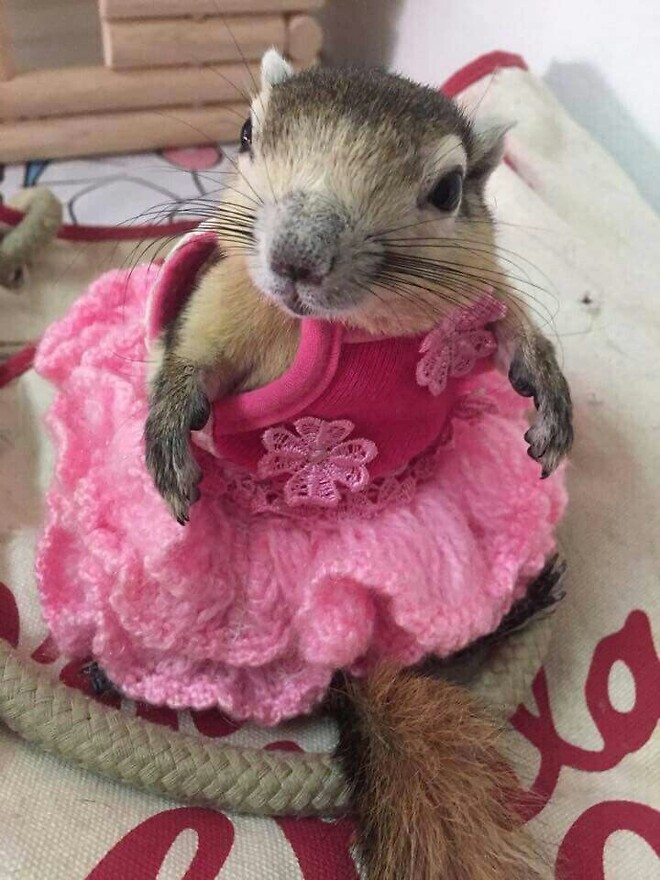 오늘은 초콜릿 너트의 날 입니다!