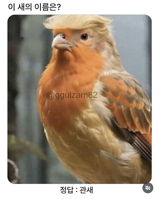 이 새 이름은?