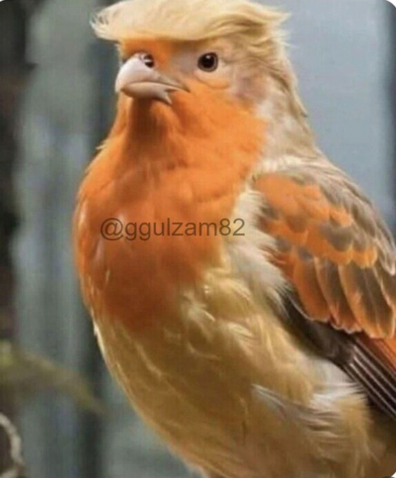 오 해피 엉스데이