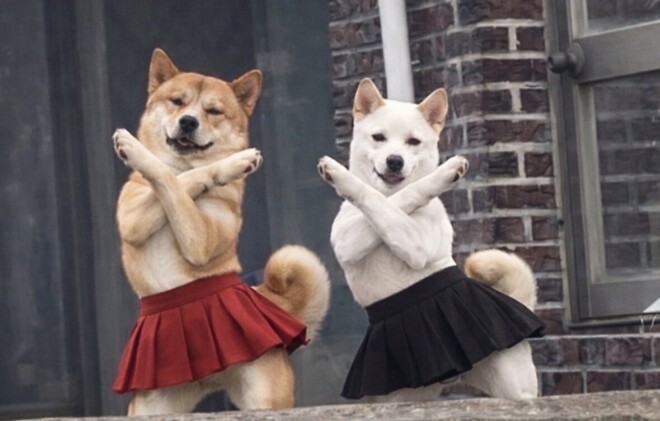 남들 국장 할때 저는요..