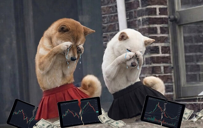 남들 국장 할때 저는요..