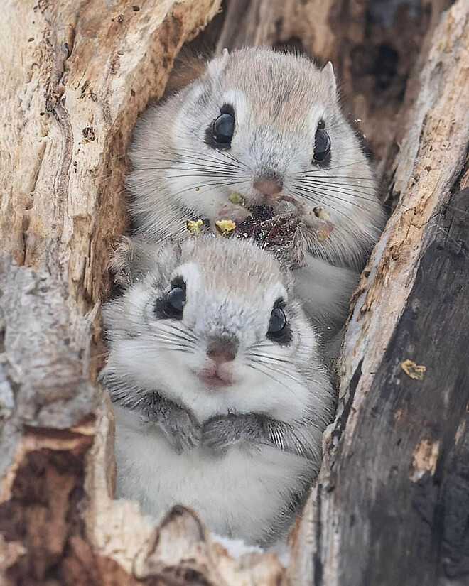뭔가 위폴 엄청 흥하는거 같은데...