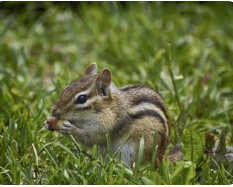 한국인들의 감성이 복잡한 이유...