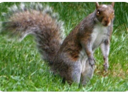 한국인들의 감성이 복잡한 이유...