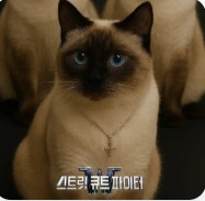 그묘일이다!!!!!!!!!!!!!!!!!!