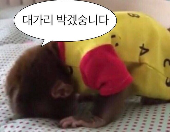 🐿️..한달에 관리 비용으로 얼마나 쓰시나요 ?