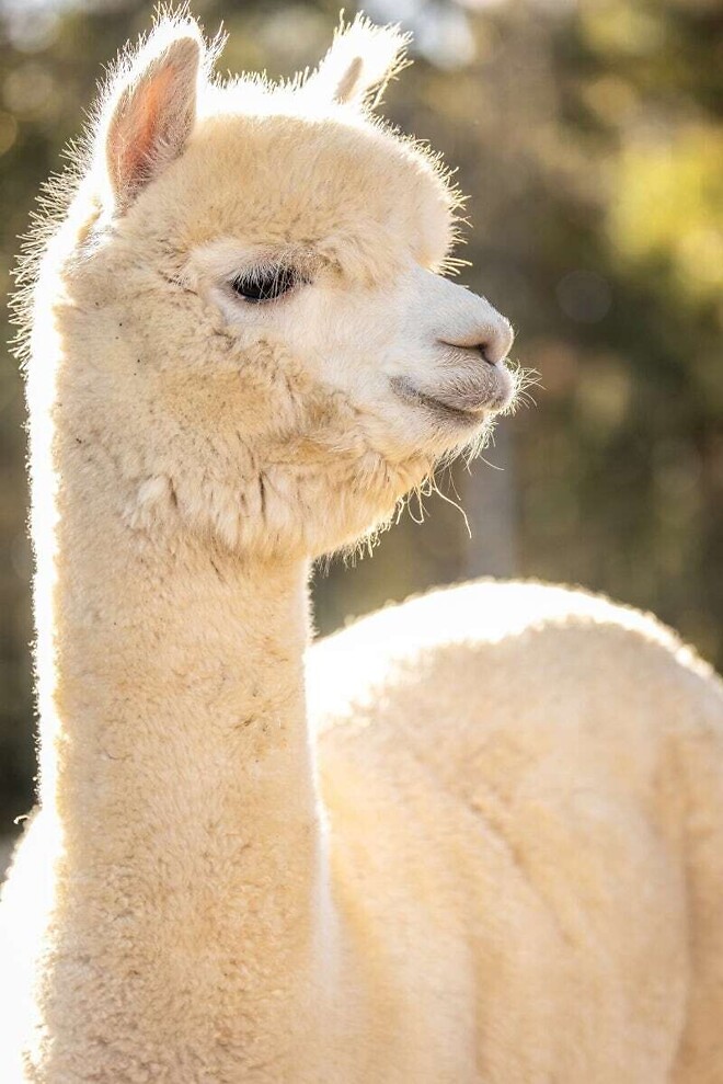 동그란 얼굴에 속눈썹이 길었던 그 애