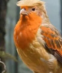 위폴 뉴비를 위한 어바웃 위폴