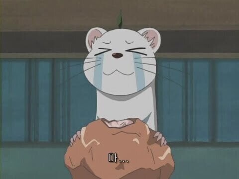 위폴 뉴비를 위한 어바웃 위폴