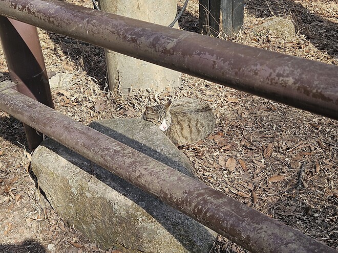 오늘의 등산-북한산 의상봉