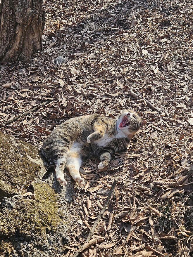오늘의 등산-북한산 의상봉