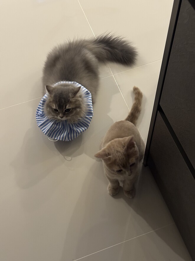 어묵바 얼마나 맛도리냐면