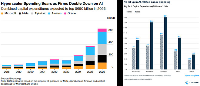 2026년 2월 10일 바이킹스 [부록 - 제타 주주들만]