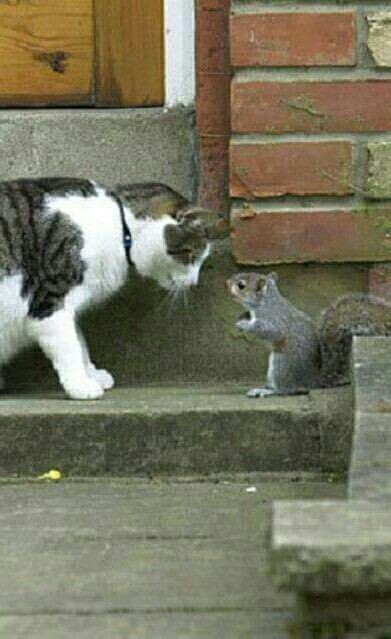 오늘까지 오르는건 내 계획에 없었어...