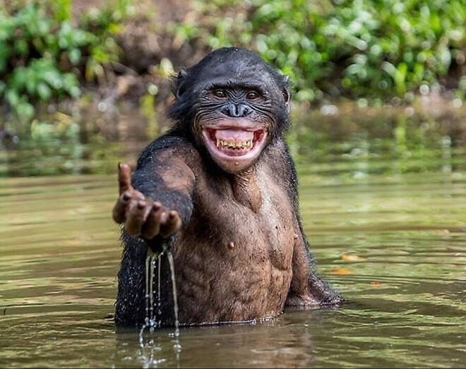 미장은 지금 웃고 있다...(ft. 약값과 금리 인하)