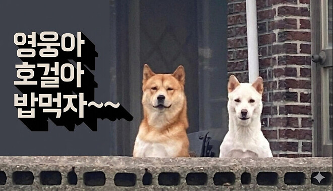 트럼프 관세 위헌 판결