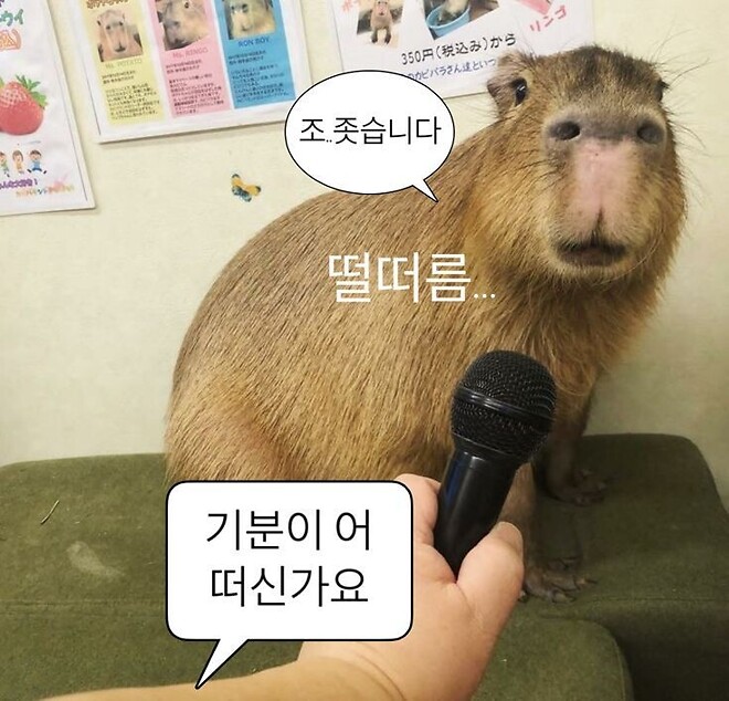 제타의 봄 오나!!