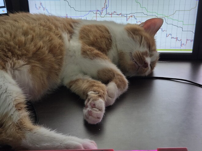 호르무즈 해협 봉쇄가 경제에 주는 영향