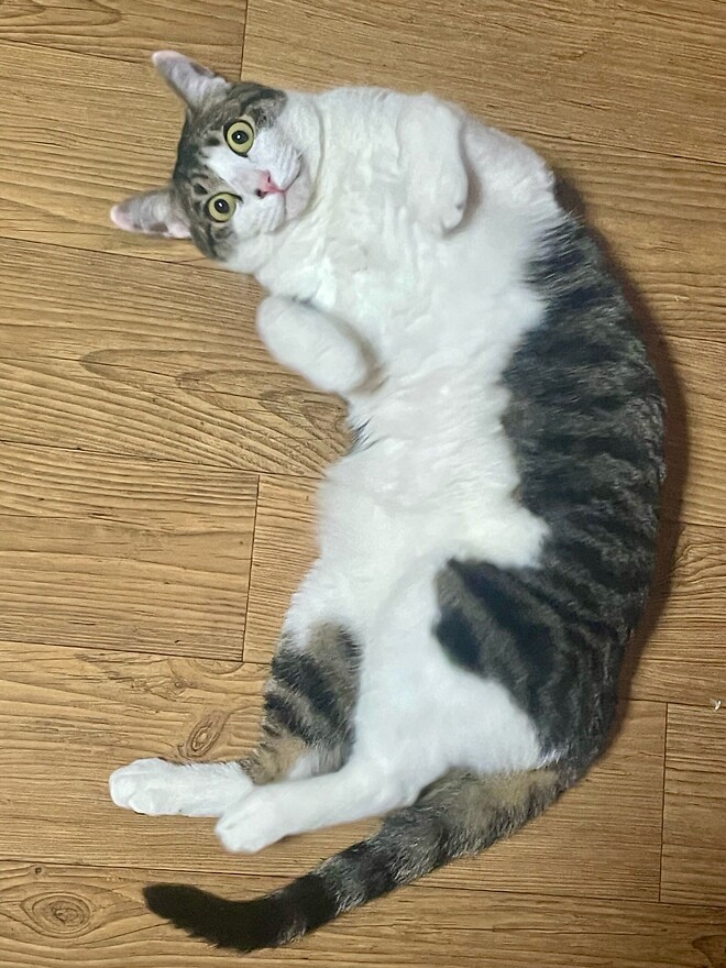 호르무즈 해협 봉쇄가 경제에 주는 영향