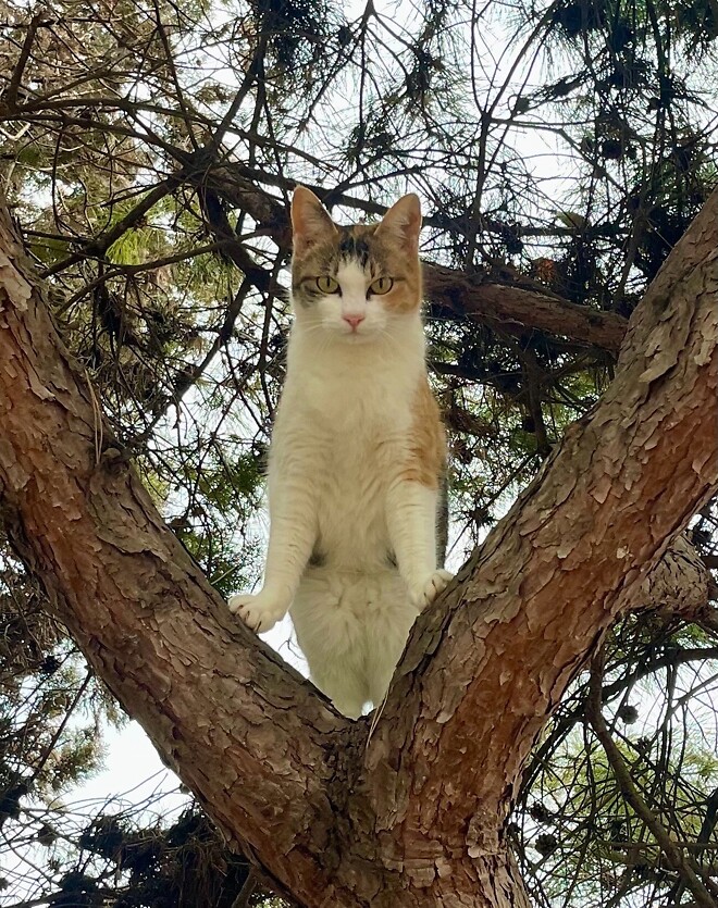 호르무즈 해협 봉쇄가 경제에 주는 영향