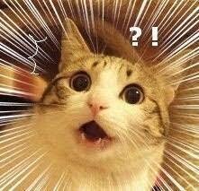 🐿️..냐냐님 따라 하루 2만원만 벌자..