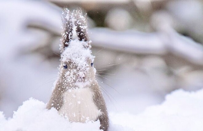 🐿️..제타..실적발표가 어제였나요..? (누가 나를 이 악몽에서 깨워줘)