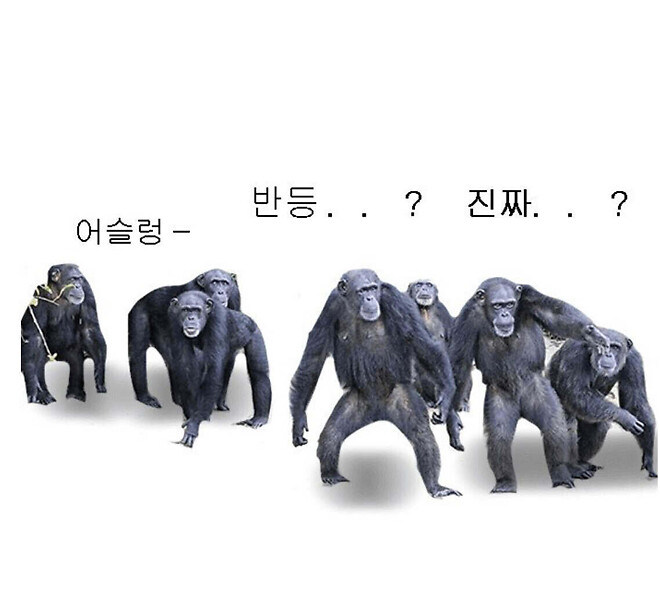 제타 다들 사러간다고???