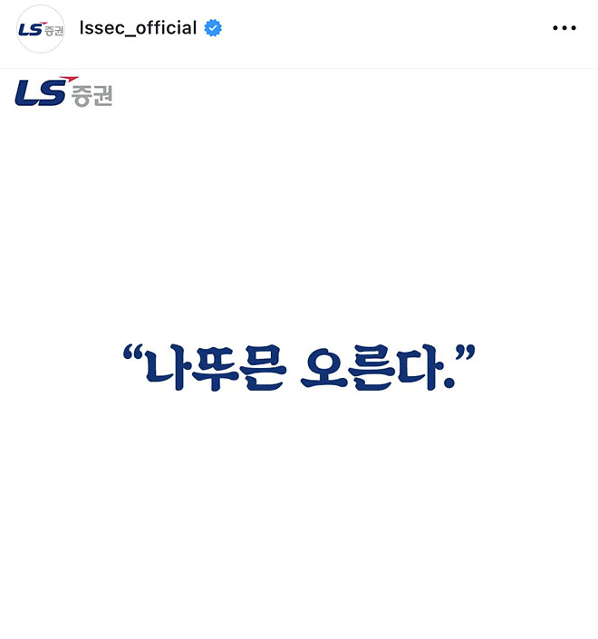 😡나의 하락하는 종목들에게..