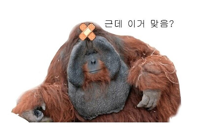 삼성전자 연속 상승 11일차