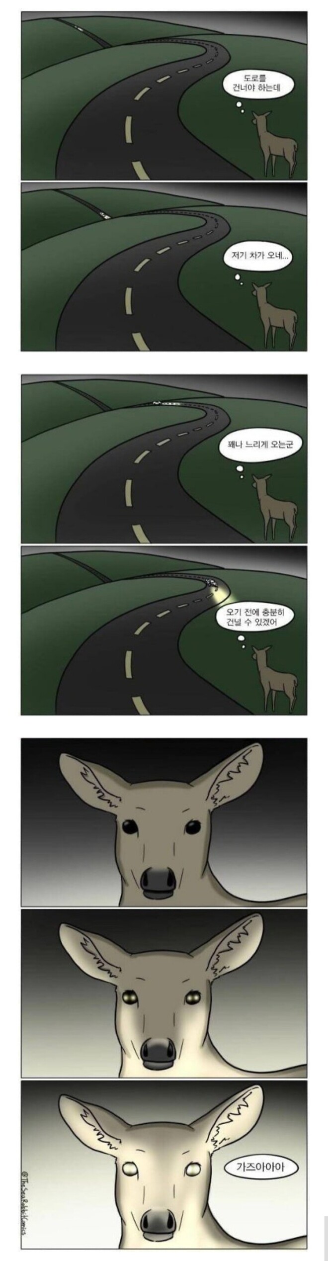 제타 주주 근황