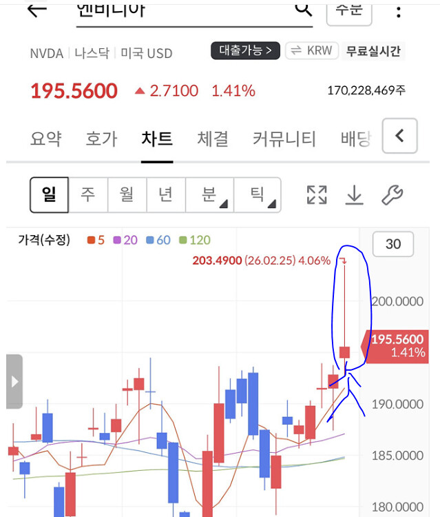 앤비디아 실적과 시장에 대한 생각