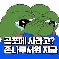 이제 상승장에도 써먹는 짤