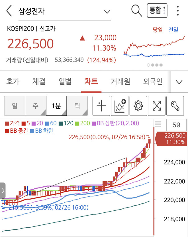 삼성전자 226,000 (11.6%)